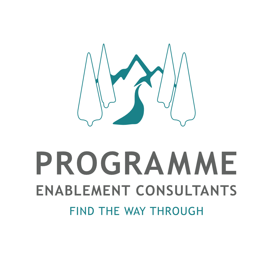 Logo design programme enablement consultants