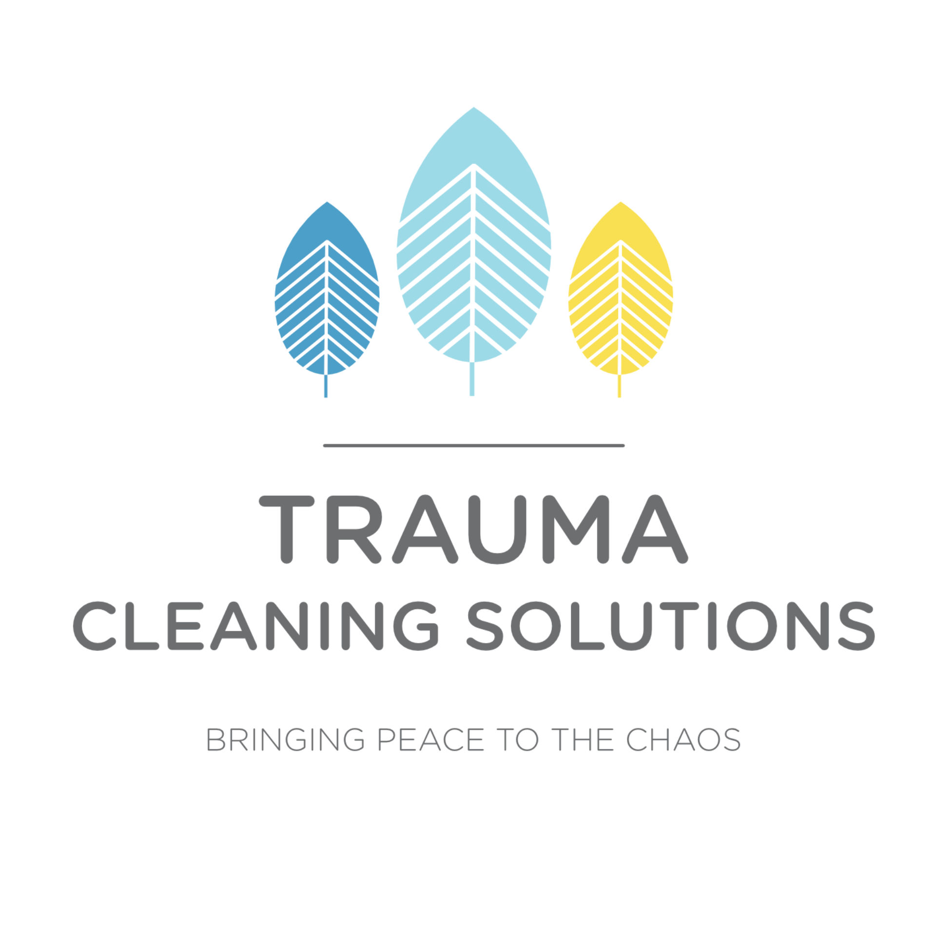 Trauma Cleaning Solutions