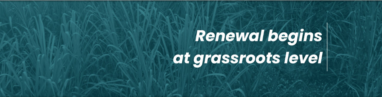 Cocarbon website grassroots